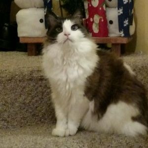 Meet your Posher, Deborah